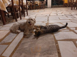 Argo Taverna outside