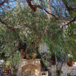 Πιπεριά outside