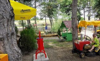 Forest Cat Knijovnik outside