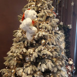 Хаджимурад drink