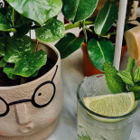 Brofessor Beans Spirits drink