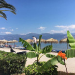 Prive Mediterranean Food&drinks outside