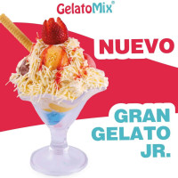 Gelato Mix Bicentenario inside