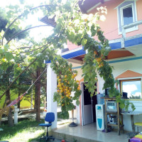 Serxhoil Holls Hausee outside