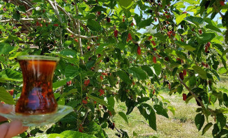 Zeytinalti Kahvalti Mangal drink