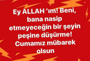 Dürümcü Musa Usta Hadımköy logo