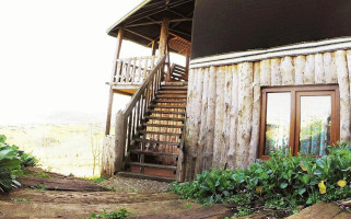 Tree Of Life Eco Camp outside