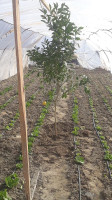 Çorbacı Engin Usta outside