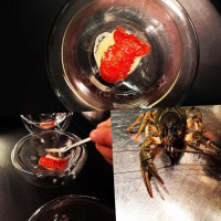 All Senses Gastronomy Asg Multi Sensory drink