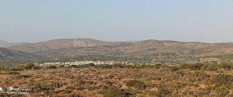 O Selianitis outside