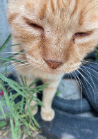 Biyer Kafe Dükkan drink