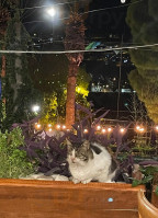 Fokai Cafe outside
