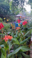 Paradise Adrasan outside