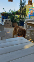 Le Jardin Cafe outside