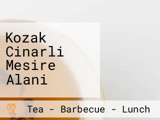 Kozak Cinarli Mesire Alani