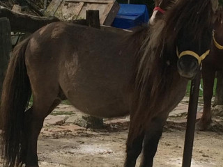 Hacı Baba Çorba Salonu