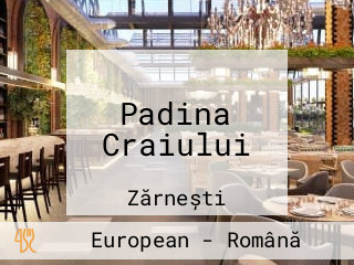 Padina Craiului