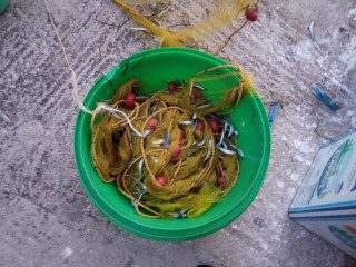 Το Λιμανάκι Λεκούνα