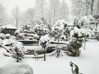 Çınar Altı Alabalık Tesisleri