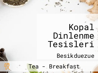 Kopal Dinlenme Tesisleri