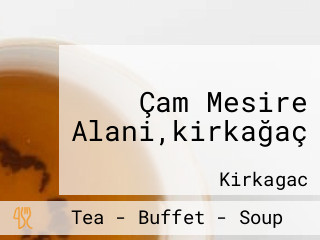 Çam Mesire Alani,kirkağaç