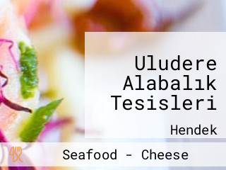 Uludere Alabalık Tesisleri