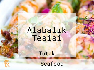 Alabalık Tesisi