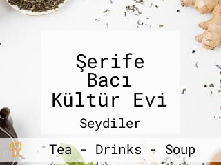 Şerife Bacı Kültür Evi