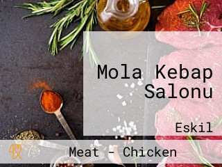 Mola Kebap Salonu