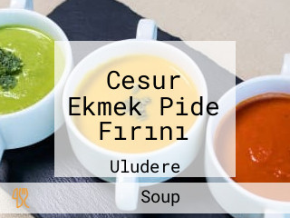 Cesur Ekmek Pide Fırını